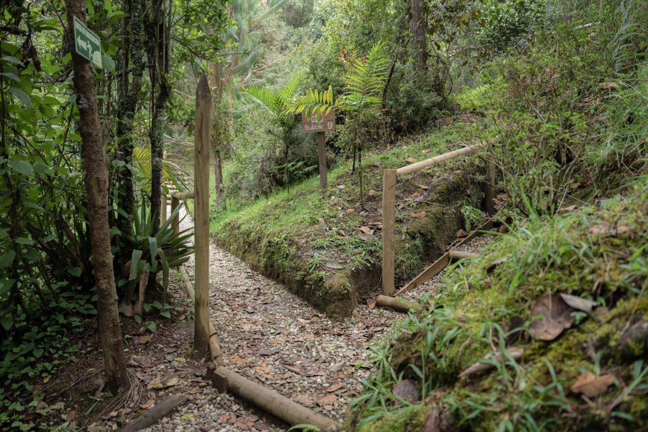 Hotel Bubblesky Glamping 40 Min From Medellin El Retiro  Zewnętrze zdjęcie